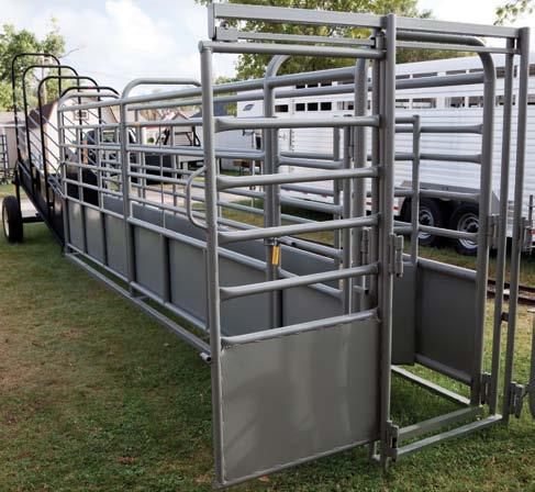 Alley sides are 4' tall and are enclosed with sheeted steel to improve the safe flow of calves.