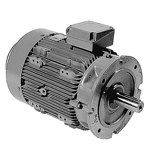 4 Electric motor Fig.