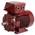 Dyneo Solutions The permanent magnet synchronous variable speed offer Drives & Motors Services Motor-drive unit technology Each motor-drive unit solution has been designed and