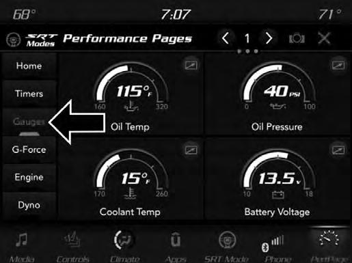 GAUGES Performance Pages Gauges When selected, this screen displays the following values: Oil Temperature Shows the actual oil temperature. Oil Pressure Shows the actual oil pressure.