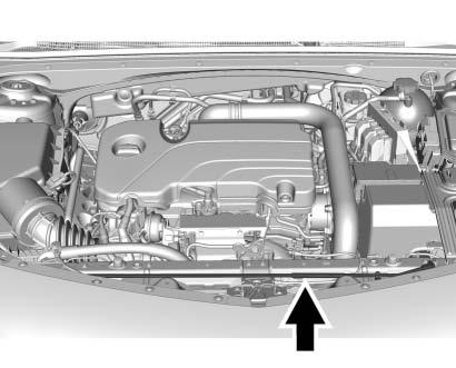 Hood To open the hood: 2. Go to the front of the vehicle to find the secondary release handle.