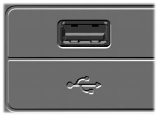Audio System USB PORT (If Equipped) E176344 The USB port allows you to plug in