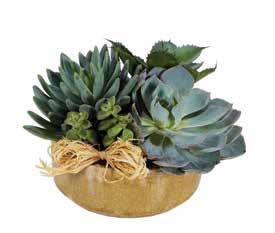 BF264-11KM Ruby Romance BF265-11KL Succulent Garden SUGGESTED RETAIL PRICE: $39.99 S, $49.99 M (shown), $59.99 L $49.99 S, $59.99 M (shown), $74.
