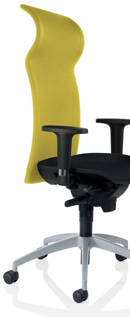 Backrest reverse lock safety mechanism > Or standard synchro mechanism with standard fixed seat, adjustable in tension by means of a lever at the side.