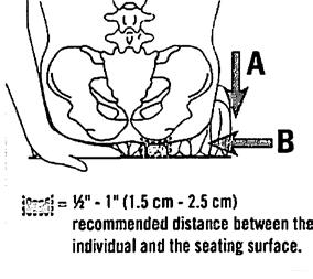 cushion works best when there is ½ to 1 inch of air between the cushion base and the lowest bony part of your bottom.