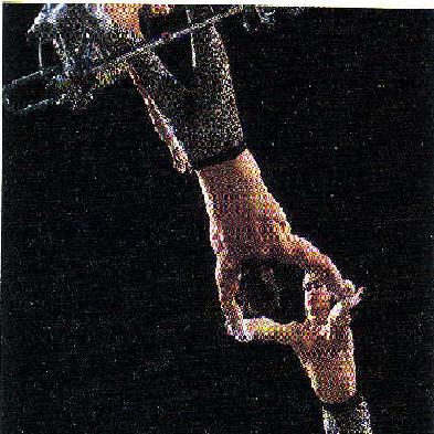 Conceptual Example 6: A Trapeze Act In a circus, a man hangs upside down from a trapeze, legs bent over the bar and arms downward, holding his partner.