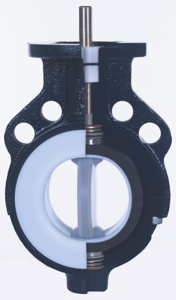 Sectioned Model Double D stem Polyurethane coated ASTM A 395 ductile iron body Flange alignment holes Extra wide sealing surface assures proper installation between flanges and seal integrity