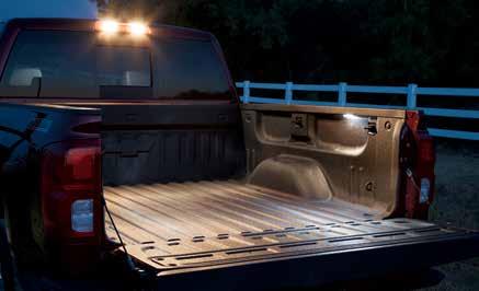 SPRAY-ON BEDLINER. When you need a thick layer of durable protection between your bed and cargo, this available bedliner does the job.