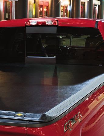 Dealer-installed Round Chrome Assist Steps available