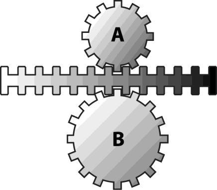 12. Look at the two worm and worm gear systems opposite. In which system will the rotational speed be more greatly reduced? Explain your answer.