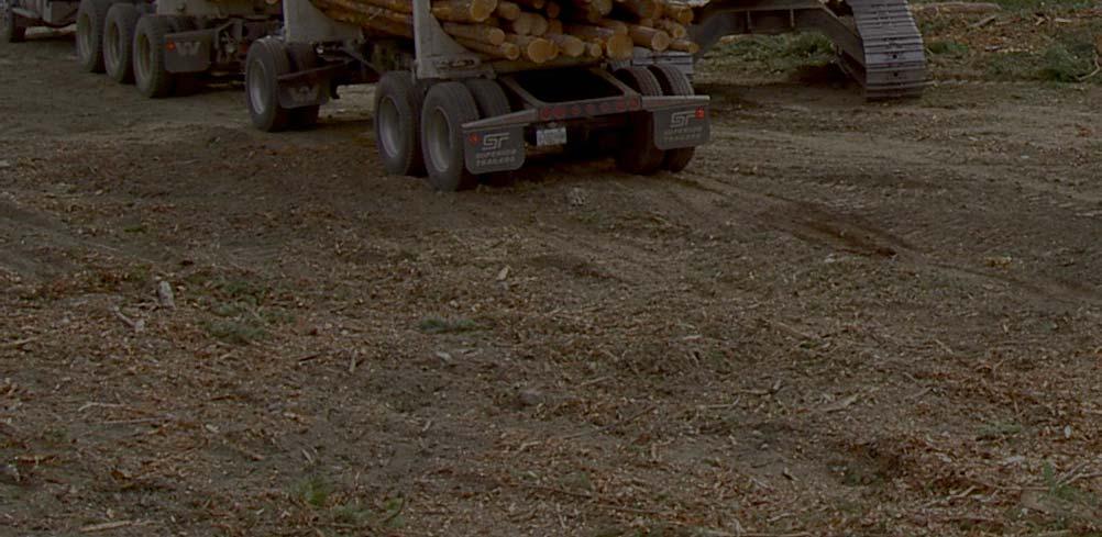 BUTT-N-TOP GRAPPLES WBM s Butt-N-Top Grapples load, unload, sort and pile tree length wood to achieve maximum