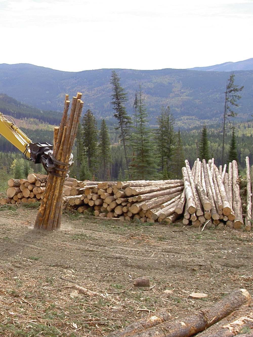 360 continuous rotation with dual drive high torque motors for excellent load handling May be used on log loader booms with optional tilt