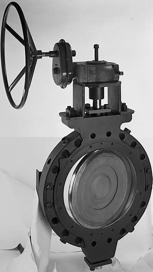An adaptable design for specialized service. This is an extremely versatile valve. Choose from options and reconfigurations that meet your specific application requirements.