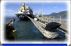 SHIPPING HIGHLIGHTS SHIPBUILDING INDUSTRY 80% of world trade is carried on ships.