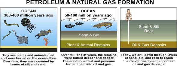 HOW OIL WAS FORMED? Oil was formed from the remains of animals and plants that lived millions of years ago in a marine (water) environment before the dinosaurs.