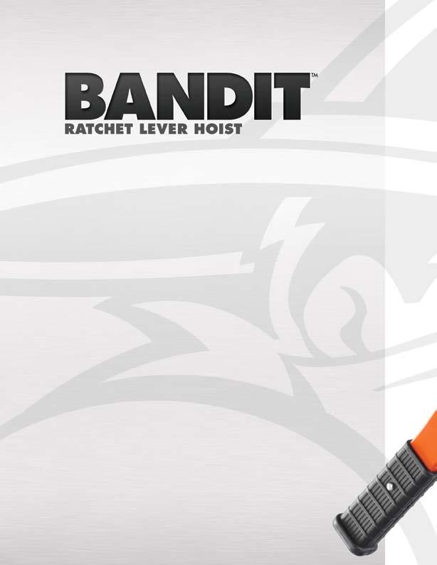 TM TM TM TM RATCHET LEVER HOIST The CM Bandit is one of the most compact and durable ratchet lever hoists in the industry.