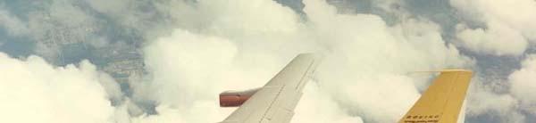 Fowler flaps with LE Krueger flaps (B707)