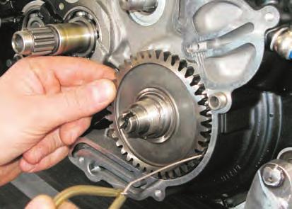 - Loosen the crankcase screws (12) using an 8 mm socket wrench;