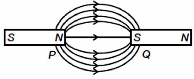 (b) What does the degree of closeness of magnetic field lines near the poles signify?