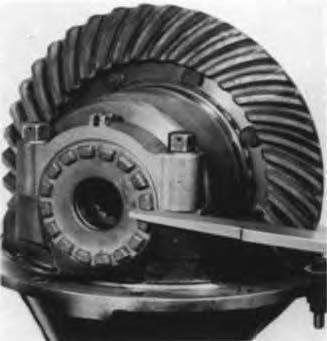 Forward and Rear Axle -- Adjust Differential Bearing Preload: 1. At the teeth-side of ring gear, position bearing adjuster until its first thread is visible. 2.