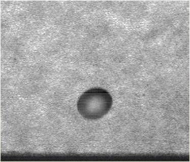 AdBlue droplet interaction on surface Adblue droplet penetration on surface evaporation & thermolysis 1. + 2.