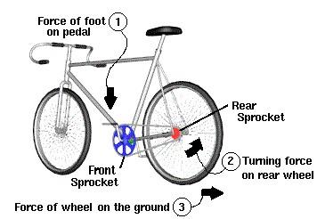 Figure 6: Different wheel sizes Have you ever seen pictures of very old bicycles that have huge front wheels?