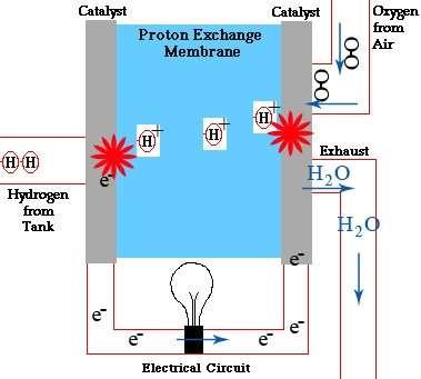 Hydrogen Fuel Cell Hydrogen and oxygen can be combined in a fuel cell to produce electrical energy.