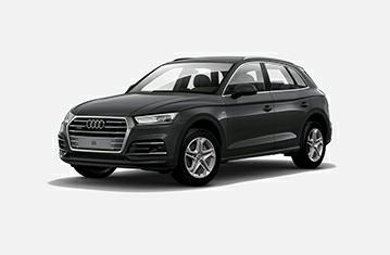 Audi Q5 Standard Safety Equipment 2017 Adult Occupant Child Occupant 93% 86% Pedestrian Safety Assist 73% 58% SPECIFICATION Tested Model Body Type Audi Q5 2.