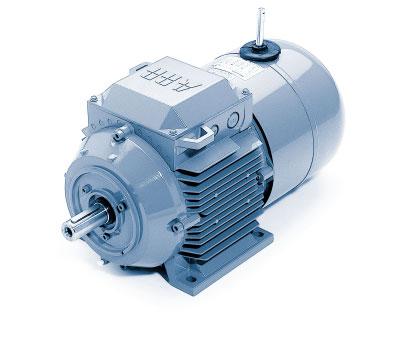Drive IT General Purpose Brake Motors Totally enclosed squirrel cage three phase low voltage motors, Sizes 63-180, 0.055 to 22 kw 6 Mechanical design... 166 Ordering information.
