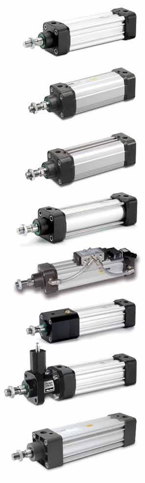 Design variants P1D Standard This series is the premier in ISO pneumatic cylinders.