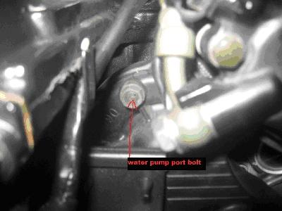 until you see coolant seep out around the threads, as air will purge from the system when you loosen the bolt when the system has coolant in it.