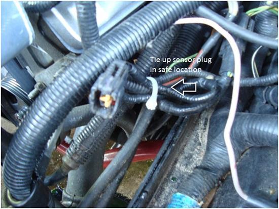 The plug can be left disconnected and will not affect the coolant level warning light, the light will