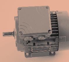 PRODUCT RANGE [ I] ENERGY EFFICIENT MOTORs High Efficiency Three-phase Motors Motors conforming to the higher efficiency standards for Europe, North America and Australia.