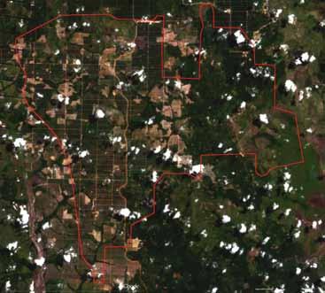 need for Cargill to have IPKs. 41 Map VI. Forest clearing in PT Indo Sawit Kekal.