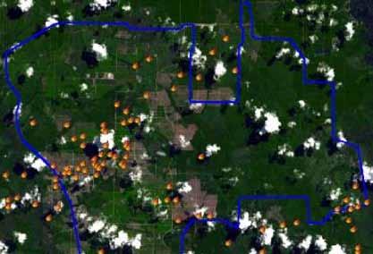 45,46 Cargill s CTP Holdings are actively clearing rainforests on PT Indo Sawit Kekal using fire, visible in person and tracked through nationally run satellite imaging projects.