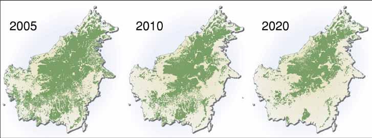 Effects of this forest destruction are well documented. Borneo has growing environmental and social problems: countless species have already gone extinct and more are gravely threatened.