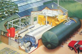 The electricity is used for illumination of the crop, CO 2 gasses from the burner are lead into the greenhouse for growth of the crop and the heat is used for heating the greenhouse or is