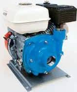 Gas Engine-Driven, Cast Iron Models 1536 and 1539 Upgrade Options: Increase dry-run and abrasive resistance with Life Guard Seals Life Guard seals are the OEM standard Features Order Information