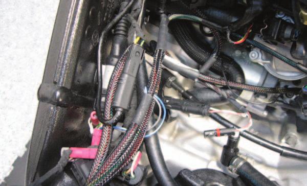 Newer Ignition Modules with a serial number starting with 15 or higher do NOT require CAN termination plugs.