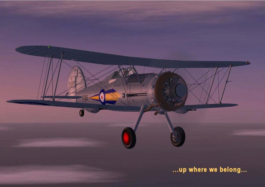 GLOSTER GLADIATOR THE LAST WWII