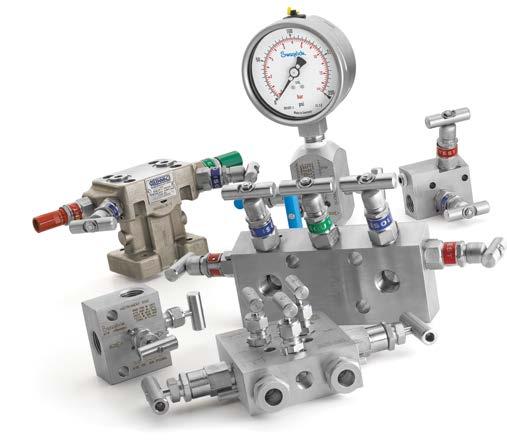 Manifolds V series instrument manifolds Maintain stable pressure in process instrumentation loops 2-, 3-, and 5-valve manifolds V series in-line manifold in single block and double block