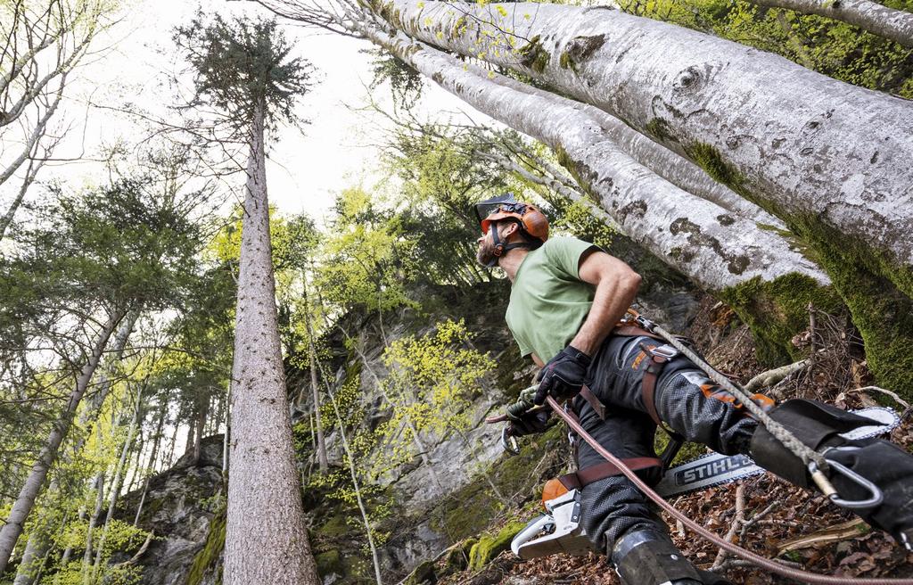 Low weight Damien Lormand, 38, independent arborist and qualified tree climber,