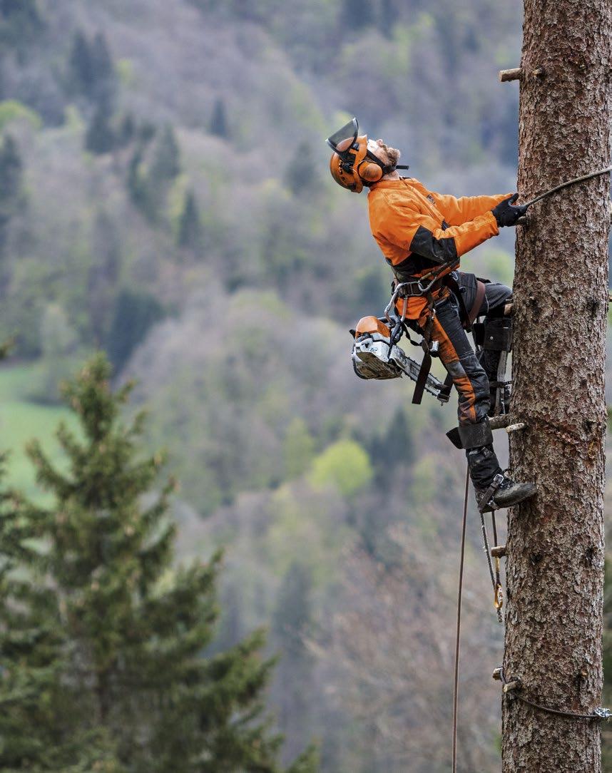 Very user-friendly with high serviceability Equipment options STIHL MS 462 C-M STIHL MS 462 The MS 462 is also available without STIHL M-Tronic engine control.