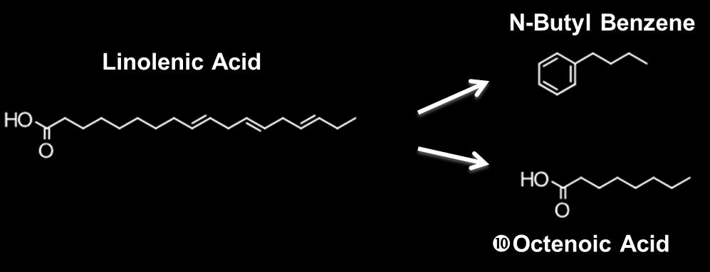 IPK reactions Oleic (18:1) cycloparaffin + H 2 Linoleic (18:2)