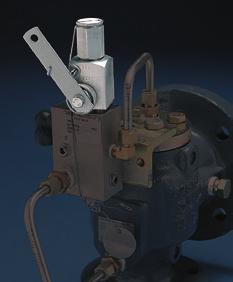 Accessories and Options J K I I. Manual unloader Permits the safety valve to be opened to depressurize the system.