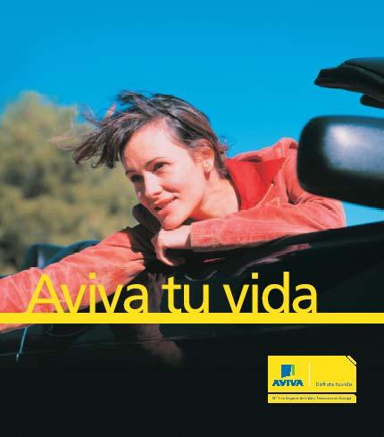 Aviva Vida y Pensiones Relaunched in 2002 Traditional distribution channels - financial
