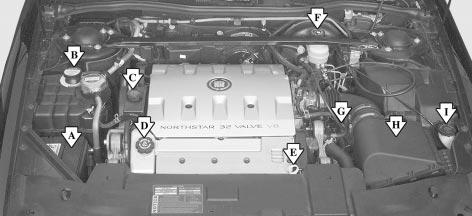 Engine Compartment Overview When you open the hood, you ll see the following: A. Battery B. Engine Coolant Surge Tank C. Power Steering Fluid D.