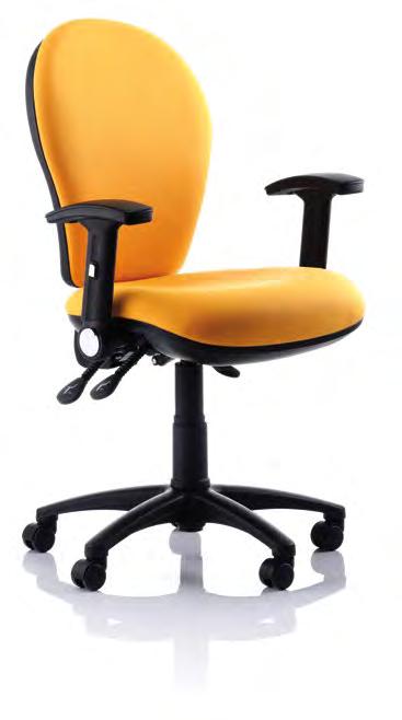 Multi-functional mechanisms, ratchet back and tension control allow the chair to be quickly adjusted to suit individual users.