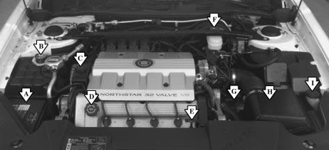 When you open the hood, you ll see: A. Battery B. Engine Coolant Fill Location C. Power Steering Fluid 6-10 D. Engine Oil Fill Location E. Engine Oil Dipstick Location F. Brake Master Cylinder G.