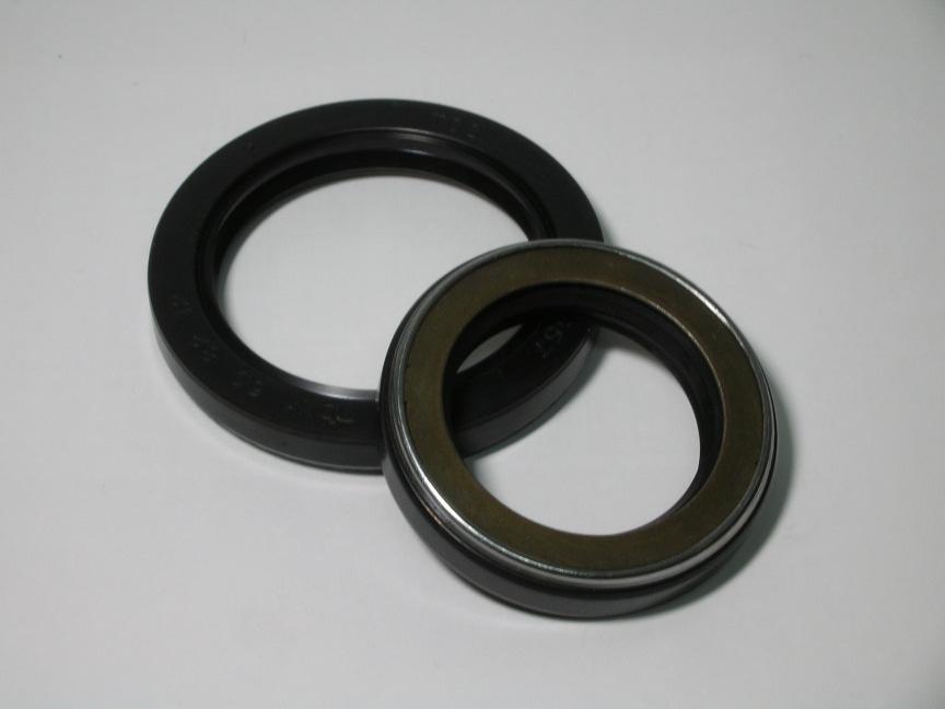 Oil Seals for Industrial Applications ISO/TS